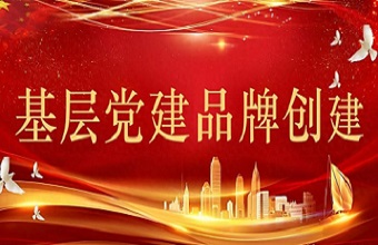 50个优秀党建品牌名称及释义典型案例